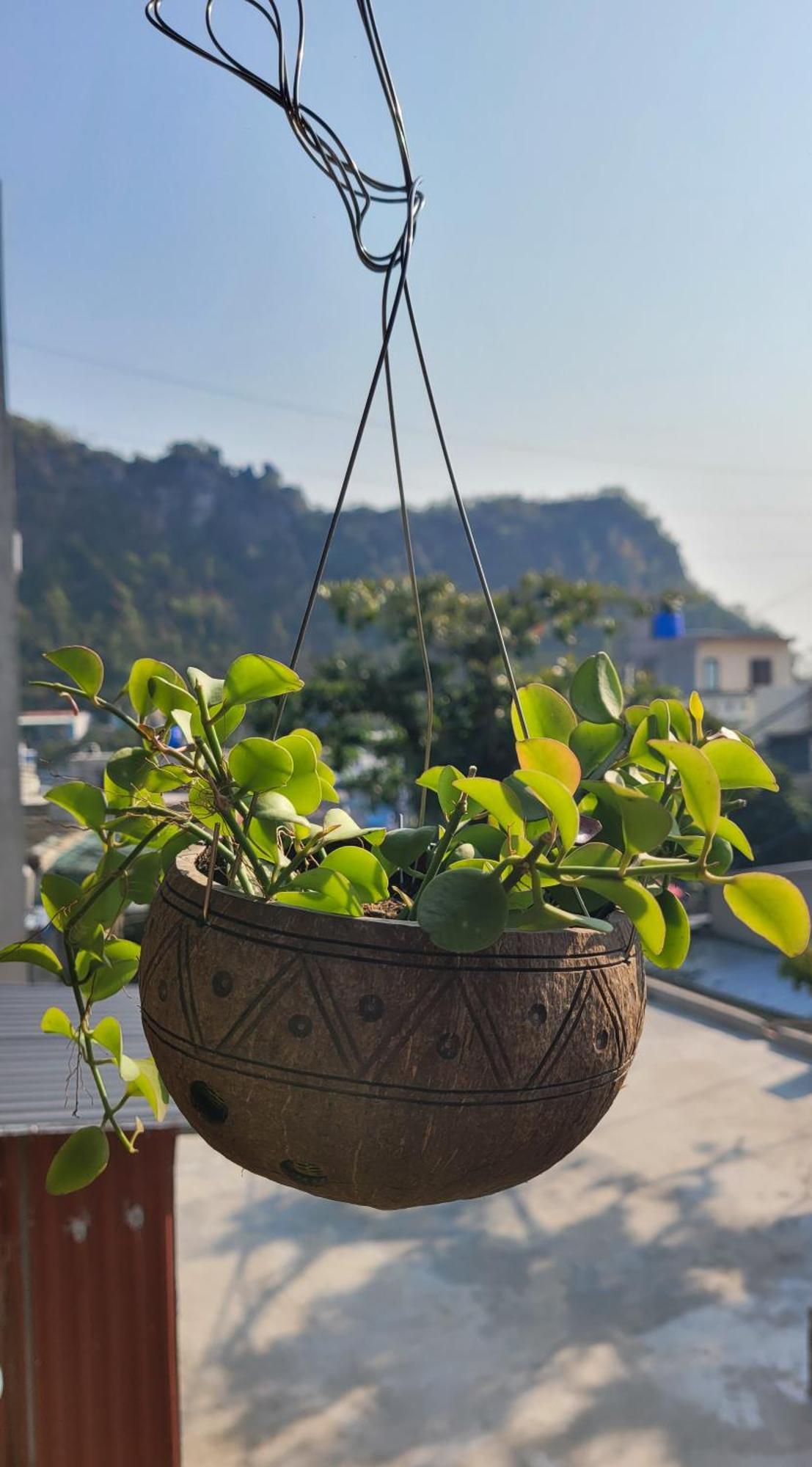Hotel Tiny Garden House Cat Ba Chan Chau Zewnętrze zdjęcie