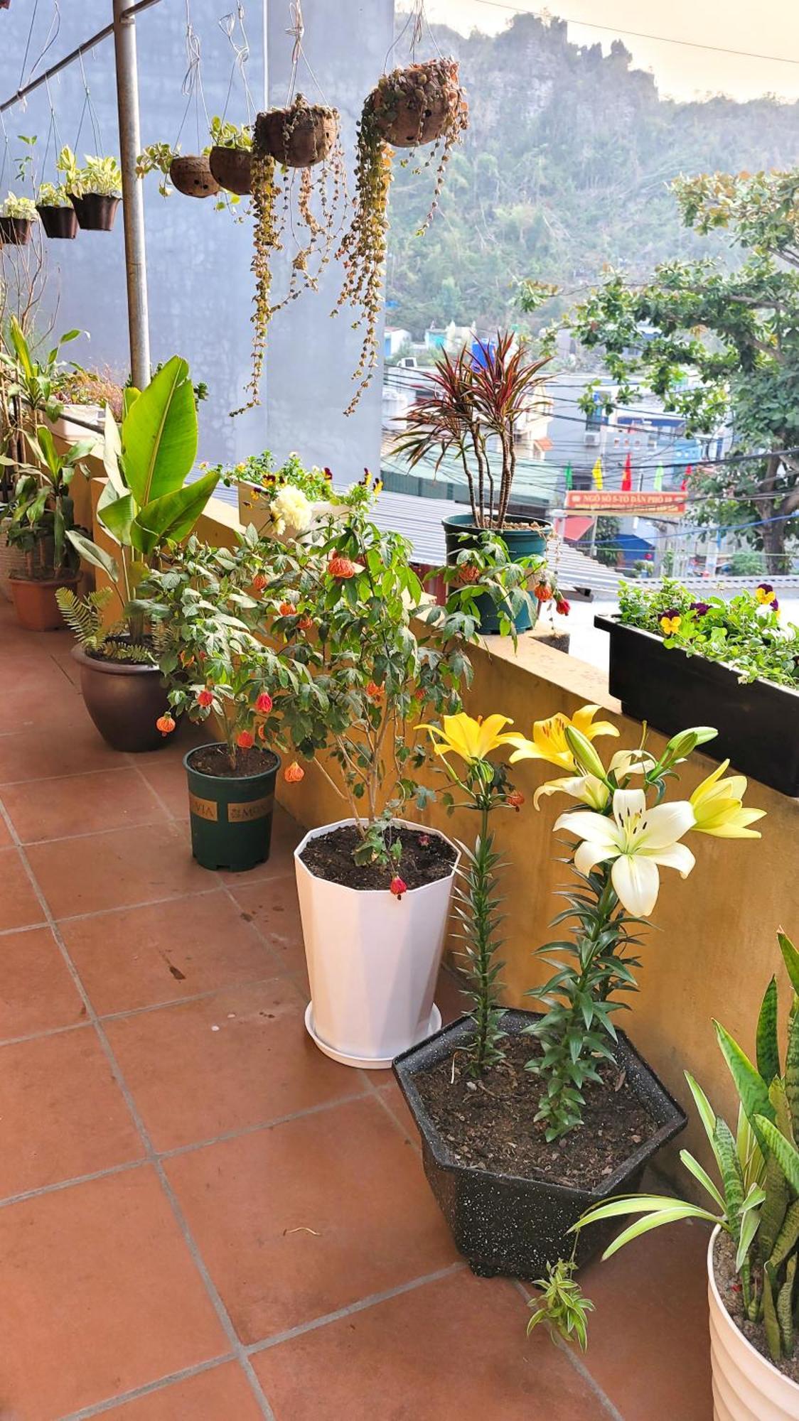 Hotel Tiny Garden House Cat Ba Chan Chau Zewnętrze zdjęcie